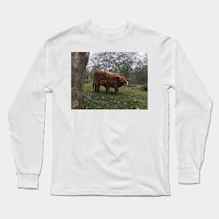 Scottish Highland Cattle Cow and Calf 1554 Long Sleeve T-Shirt